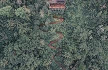 Bali ATV Quad Bike Adventure with Gorilla Cave Pass By Waterfall