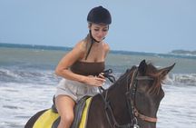 Bali Sunrise Horse Riding and Tour