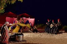 Super Safari Quads-Camel Ride-Bedouin Dinner and Shows From Sharm
