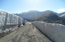 The Rocky Mountain National Park Winter Safari Tour