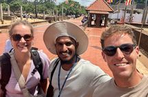 Guided Sri Lanka 11 Days Private Tour: All Transfers & HB Hotels