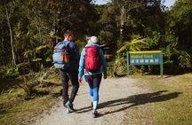Milford Sound Nature Cruise and Self-Guided Scenic Track Walk