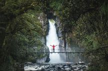 Milford Sound Nature Cruise and Self-Guided Scenic Track Walk