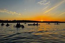  Sunrise Serenity Kayak Tour of Sydney Harbour