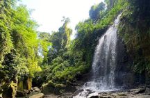Penglipuran Village Kehen Temple Swing Temesi Waterfall Day Tour 