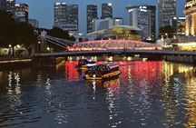 Small Group Nocturnal Singapore Tour: Night Cruise & Light Shows 