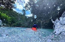 Cebu: Oslob Whale Shark Swimming & Kawasan Falls Canyoneering