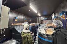 Hirata Sake Brewery Tour in Hida Takayama