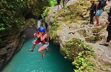 Cebu: Kawasan Canyoneering & Moalboal Island Hopping