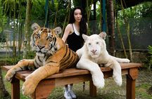 Phuket city tour with Tiger Experience (Best Seller)