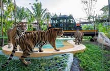 Phuket city tour with Tiger Experience (Best Seller)