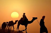 Agadir 4x4 Safari camels at sunset and dinner