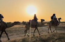 Agadir 4x4 Safari camels at sunset and dinner