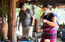 Doi Inthanon Summit Waterfalls and Hill Tribe Day Tour 