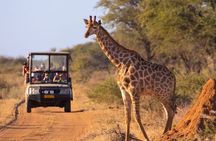 Kruger National Park 5-Day Shared Tour with Transportation