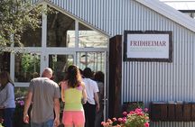 From Reykjavik: Private Golden Circle, Kerid, and Fridheimar Tour