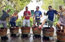 Full Day Wine Tour in Stellenbosch with Afrivista