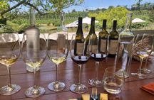 Full Day Wine Tour in Stellenbosch with Afrivista