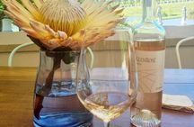 Full Day Wine Tour in Stellenbosch with Afrivista