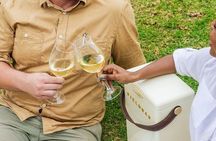 Full Day Wine Tour in Stellenbosch with Afrivista