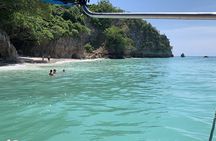 Turtle Island Tour Lunch Ceviche and Transfer Included