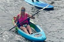 Manatee & Three Sisters Springs Tour – Clear Kayak or Paddleboard