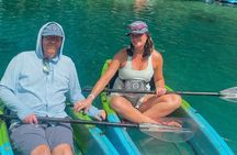 Manatee & Three Sisters Springs Tour – Clear Kayak or Paddleboard