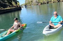 Manatee & Three Sisters Springs Tour – Clear Kayak or Paddleboard