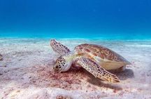 Private Luxury Boat Tour in Bonaire Customize Your Escape