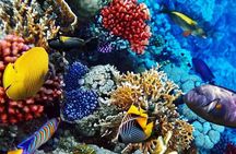 Private Luxury Boat Tour in Bonaire Customize Your Escape