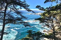 17-Mile Drive, Monterey Peninsula &Carmel Max 12 Small Group Tour