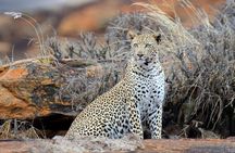 3 Days Tsavo East National Park and Taita Hills Kenya Safari