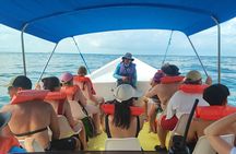 Combo Tour: Whales and Dolphins at Marino Ballena National Park