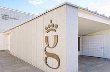 Madrid: Guided Tour of the Royal Collections Gallery