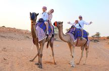 Dubai Layover Stopover Desert Safari – Quad Bike and Dune Buggy