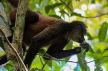 Corcovado National Park Tour: Hiking a gem in San Pedrillo