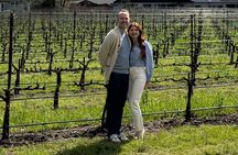 Full Day Join in Group Wine Tasting Tour