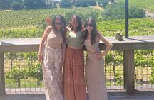 Full Day Join in Group Wine Tasting Tour