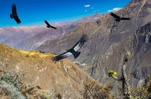 Colca Canyon Full Day Tour from Arequipa to Puno