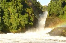 5-Day Big 5 Safari to Murchison and Chimpanzee Tracking