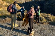 Trekking Base Torres del Paine full day