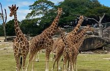 Safari Tour in Ponderosa Costa Rica