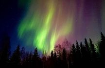 Fire & Ice: Chena Hot Springs, Ice Museum + Aurora Adventure 