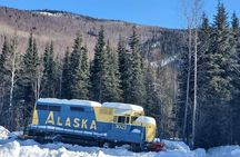 Fire & Ice: Chena Hot Springs, Ice Museum + Aurora Adventure 