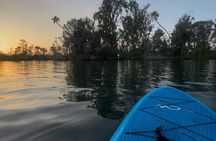 Crystal River Sunrise Manatee Clear Kayak Tour