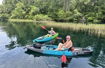 Guided Kayak Tour of Crystal Rivers Springs and Wildlife