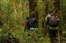 LLanos Del Cortes Waterfall Adventure and Liberia City Tour