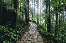 Hiking the Historic Nakasendo Trail [1 Day Tour from Nagoya]