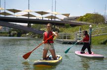 Seville : Paddleboard Rental (SUP) by Libre
