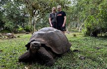 Transfer Baltra to Santa Cruz + Galapagos Tortoise Visit | Shared